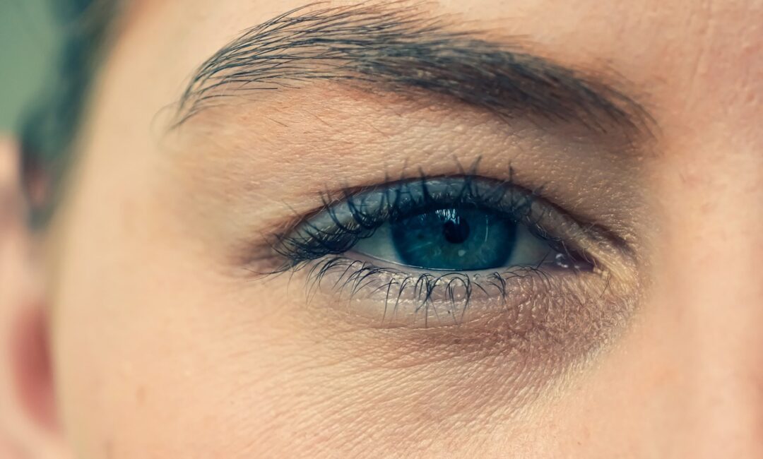 Décryptage_des_Styles_et_Formes_de_Sourcils_à_la_Mode